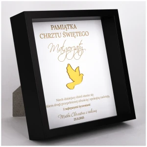 miniatura5.webp